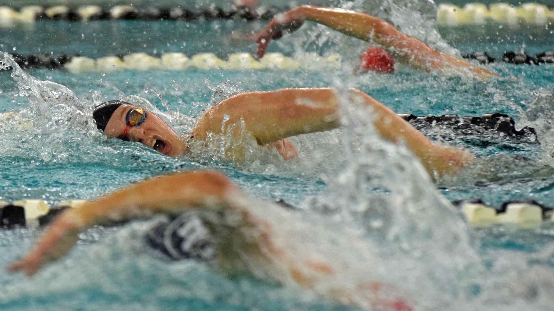 5 things to know about the WIAA state girls swimming and diving championships